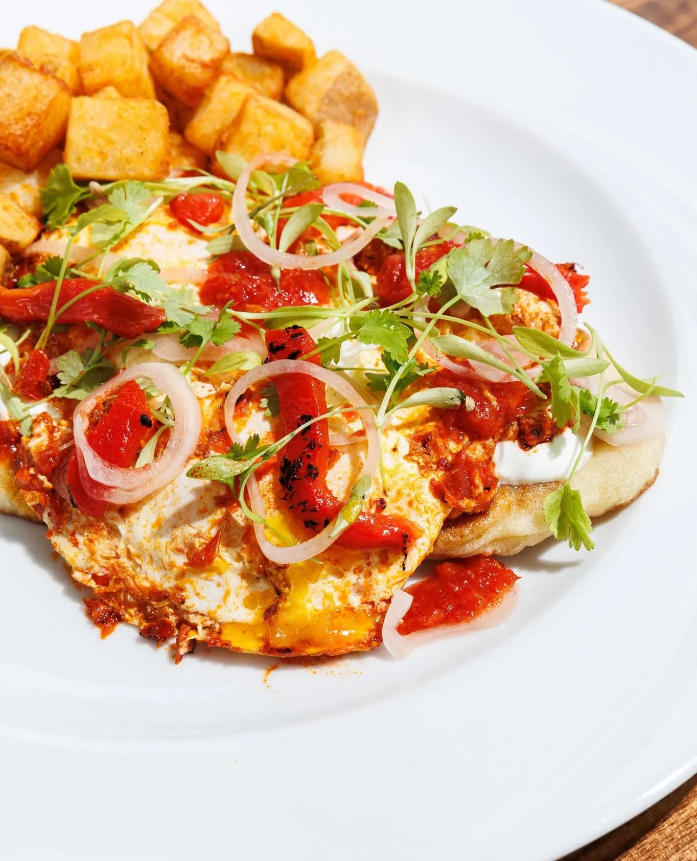 Shakshuka